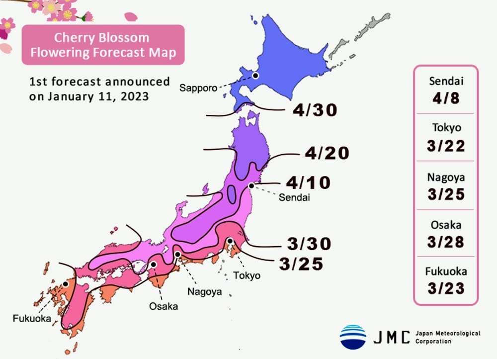 Прогноз цвітіння сакури 2023