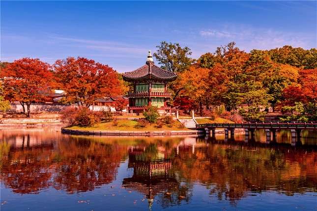 Осінні барви Кореї та Японії. Тур в Корею та Японію 2025 - Visit Japan ...