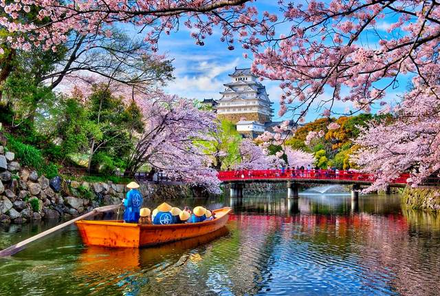 Сакура в Японії - весни чарівність