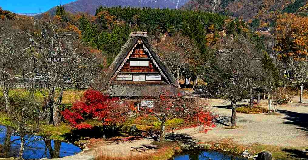 Червоні клени - шедеври японської осені (15.11-25.11.2023)