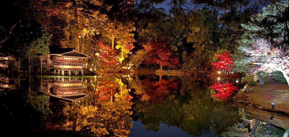 Червоні клени - шедеври японської осені (15.11-25.11.2025)