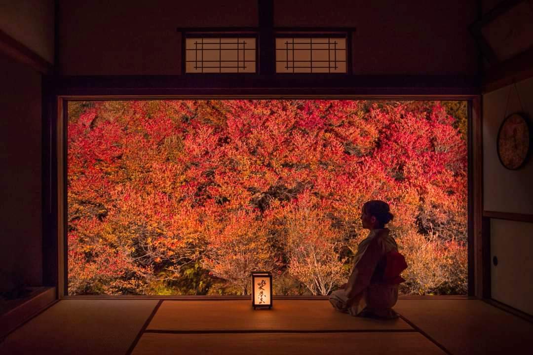 Корея та Японія: шлях поза класикою (мінігрупа)