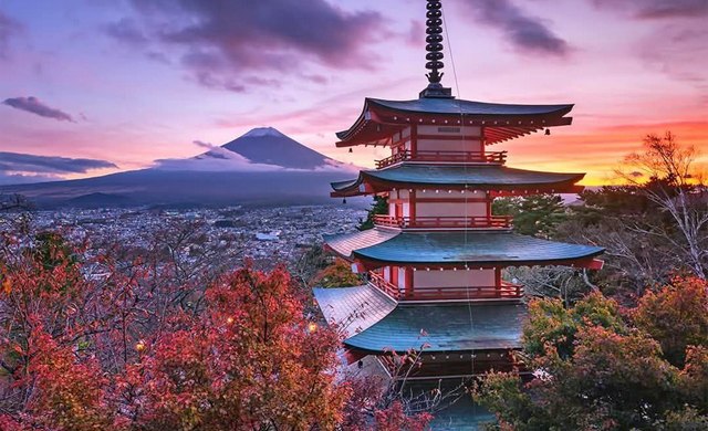 Гранд тур Японією на клени (мінігрупа - 2)