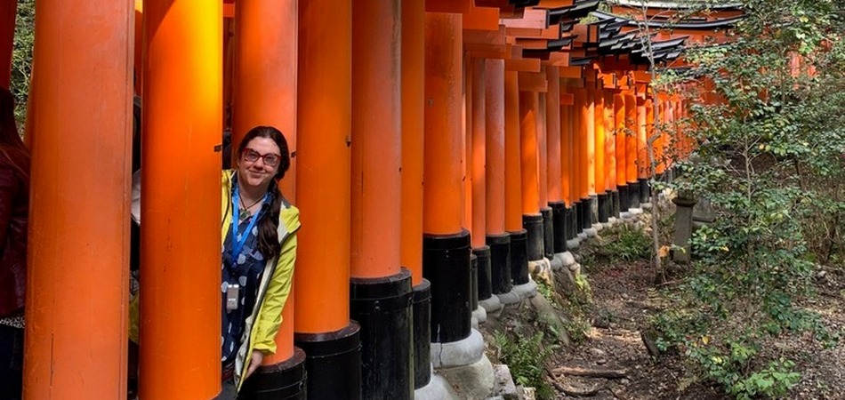 Гранд-тур на сакуру та гліцинії (08.04-21.04.2025)