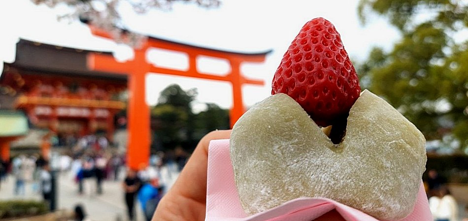 Гранд-тур на сакуру (01.04-14.04.2026)